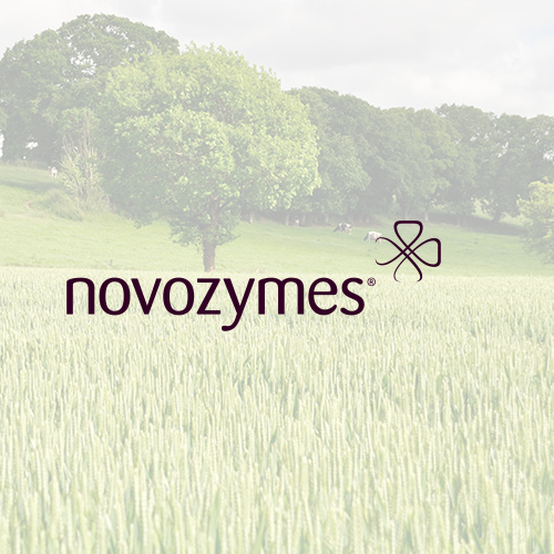 novozymes
